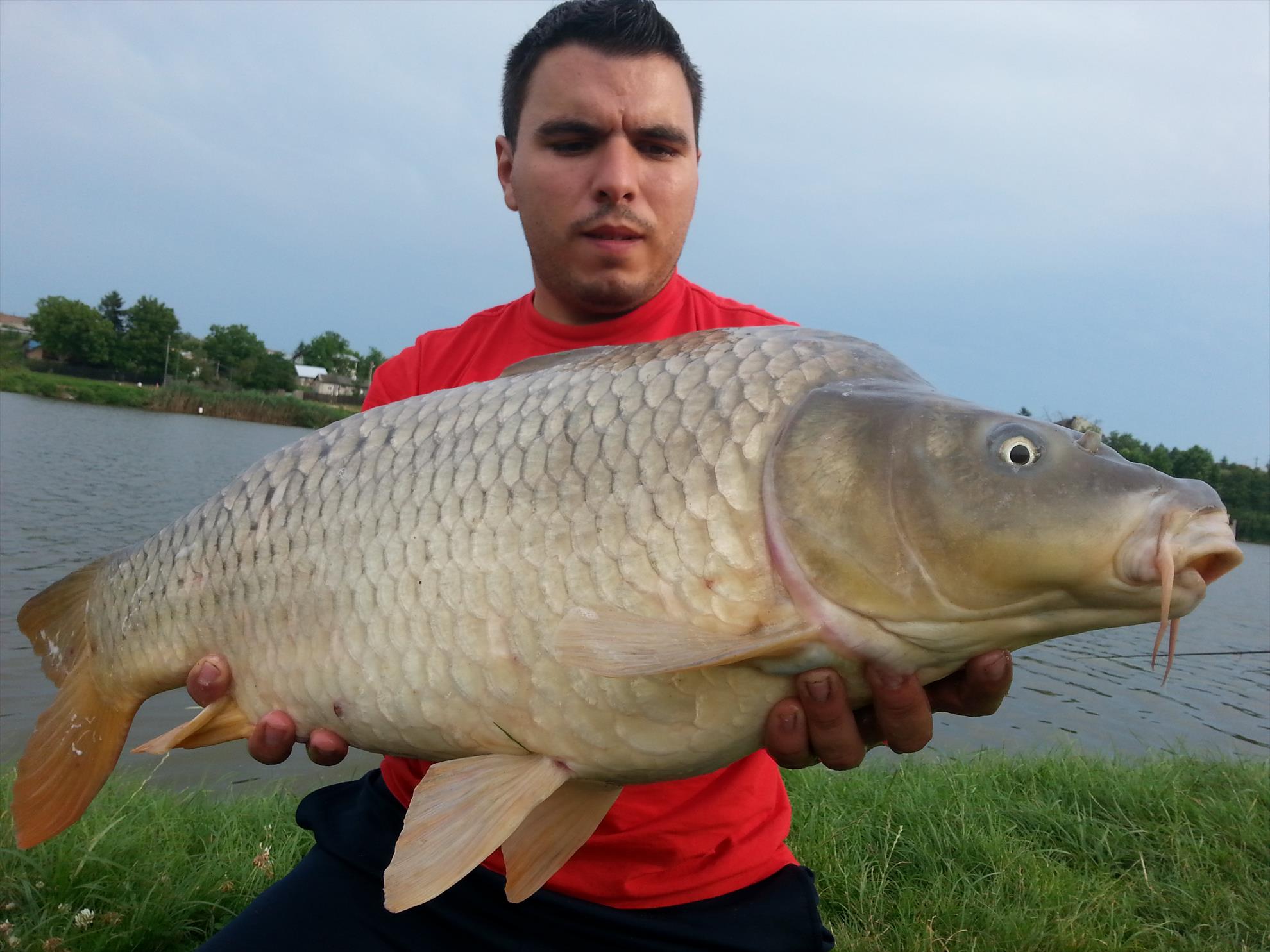 Moara Vlasiei 2 15 - 16 iulie 2014 - 20140715184414.jpg